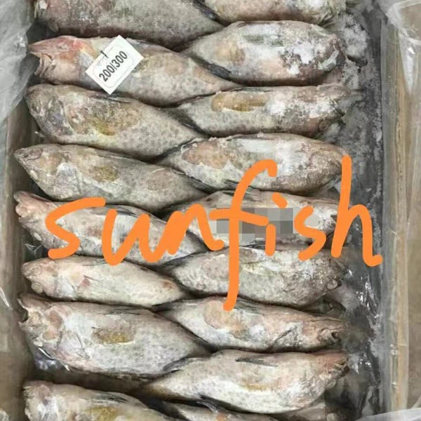 e9945cc64dca110651150e81fa091ff