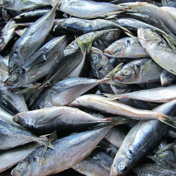 d8126a838b7dcd1f6742fb59b09ab25f